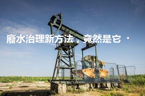 廢水治理新方法，竟然是它？！